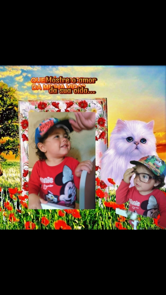 Você  é o meu amor