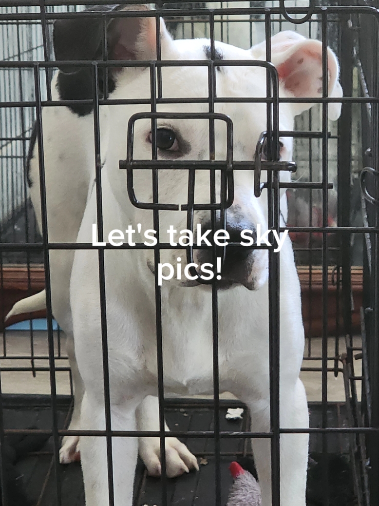 Let's take sky pics!