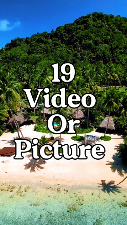 19 video o larawan 