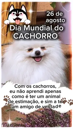 Dia do cachorro