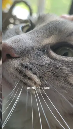 oh look a strawberry