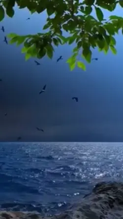 Nature meditation 