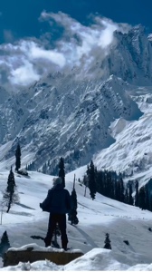 Natureza❄️🌨️
