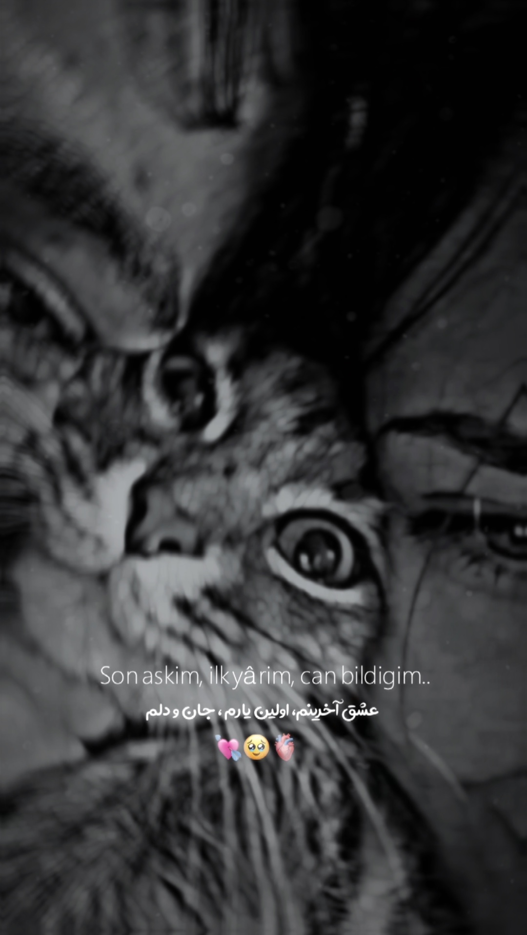 Son Askim