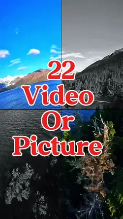 22 video or picture 