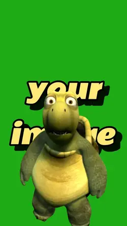 Shocked 🐢 Verne