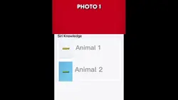 Siri animal template