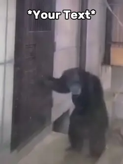 Monkey Panic