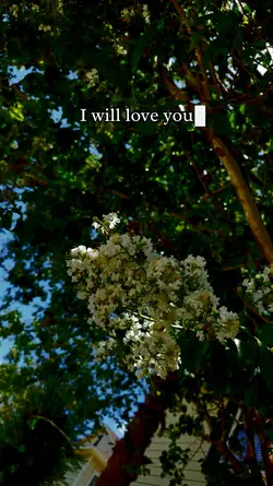 I will love you