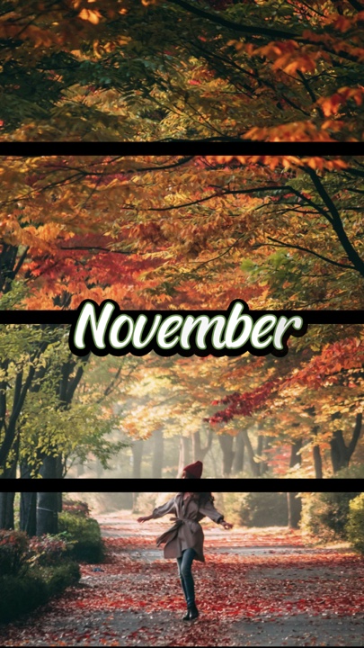 November- 7 pics 