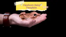 🍼Baby🍼Template🍼