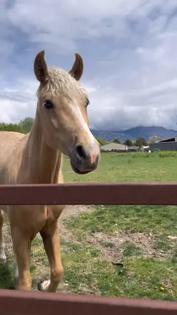 He’s so friendly 