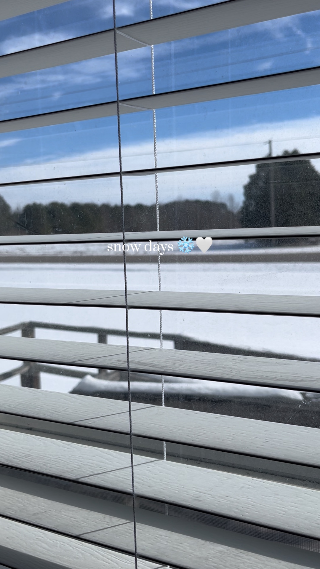 Días de nieve ❄️🤍