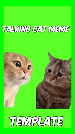 Talking cat meme 