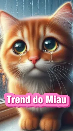 Trend do Miau
