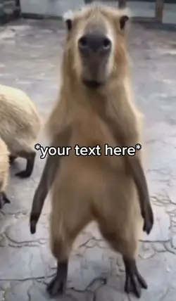capybara 