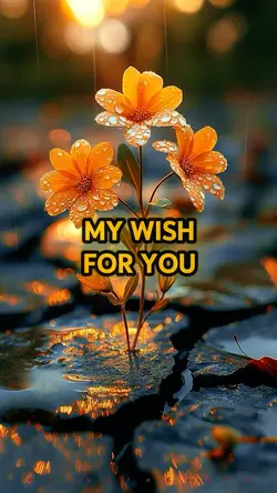 My wish for you 