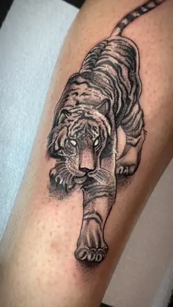 Tatuagem 