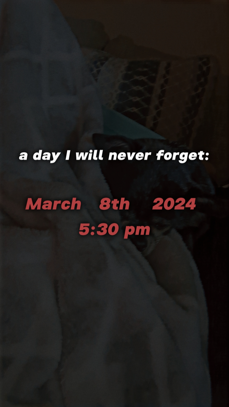 3-8-24
