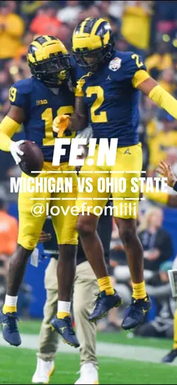 Michigan Wolverines🏈