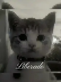 liberado <3 | 