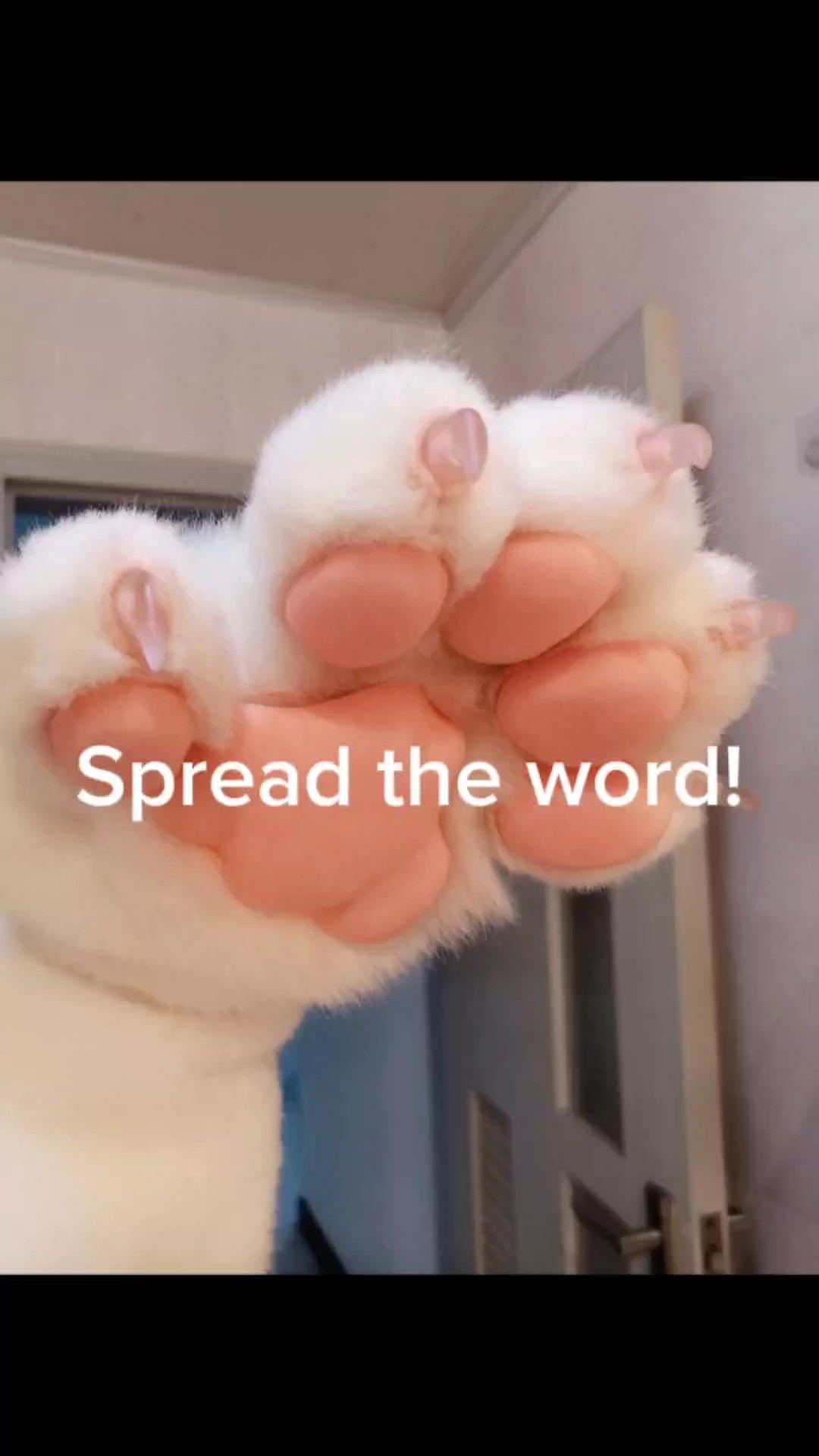 Spread the word 