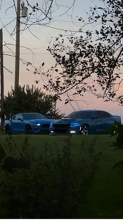 Blue duo