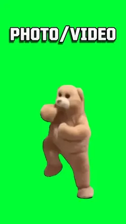 Whopper Bear Meme
