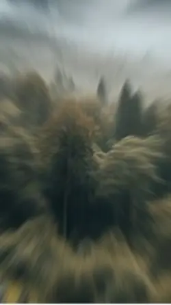 Natureza 