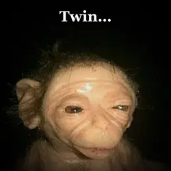 Weird Ahh Monkey