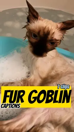 Fur goblin species