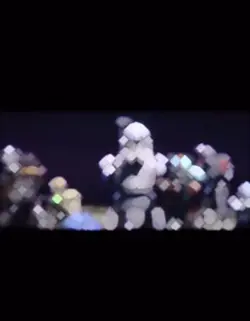 Rex 