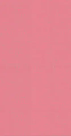 best friends forever