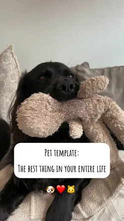 Best thing in life