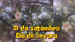 Dia da árvore 🌳 