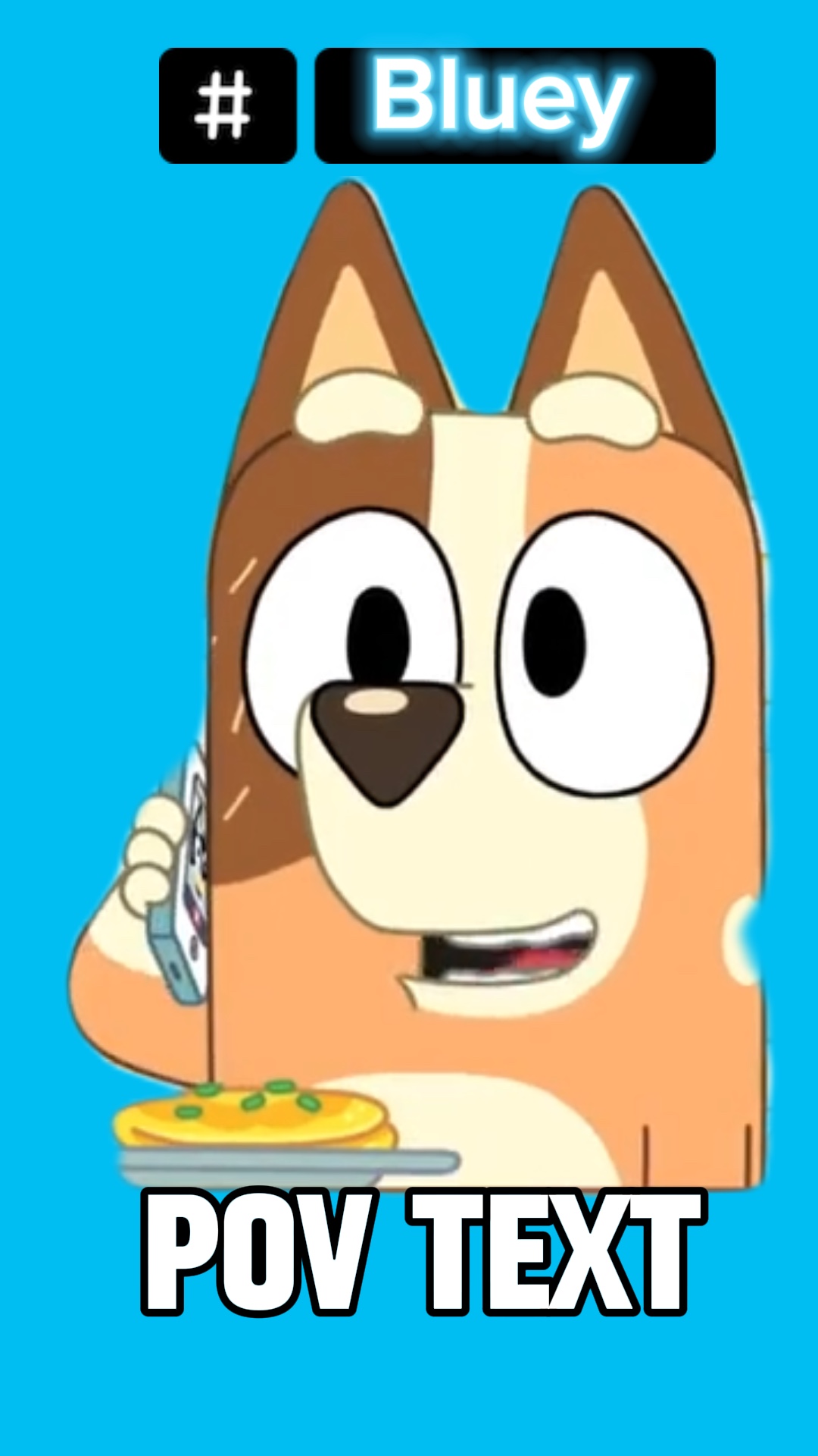 Bluey no phone calls