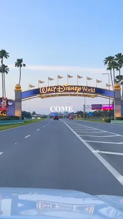 disneyland ๐ฐ