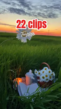 22 clips