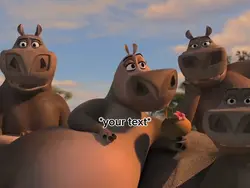 Madagascar:🫣🥰😤