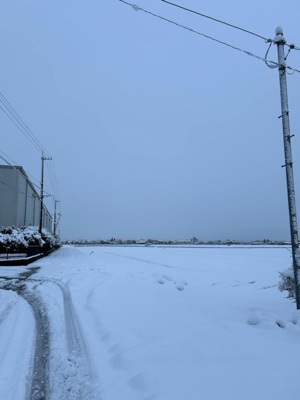 ❄️Neige février 2025