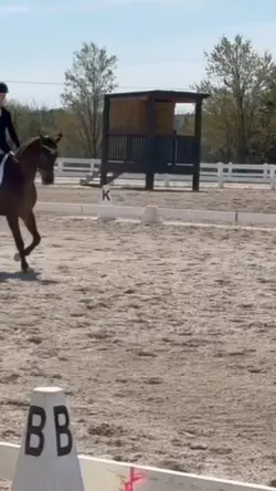 Such a good girl❤️ 