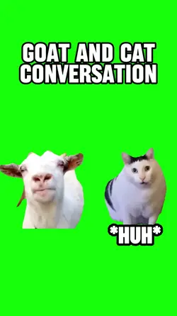  Goat talking to cat