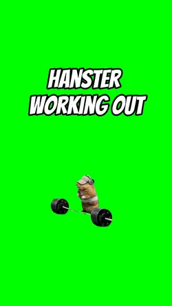 Hamster workout