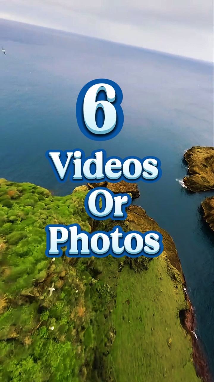 6 video veya fotoğraf 