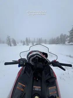 snowmobilesss