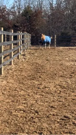 ⚠️FAKE AI GENERATED⚠️