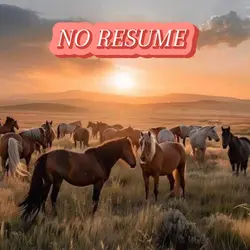 NO RESUME'S!