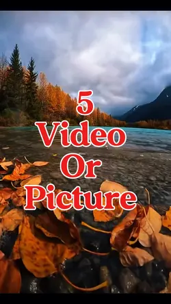 5 video or picture
