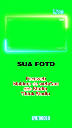 facecam webcamMoldur