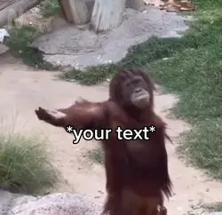 Monkey with hand out